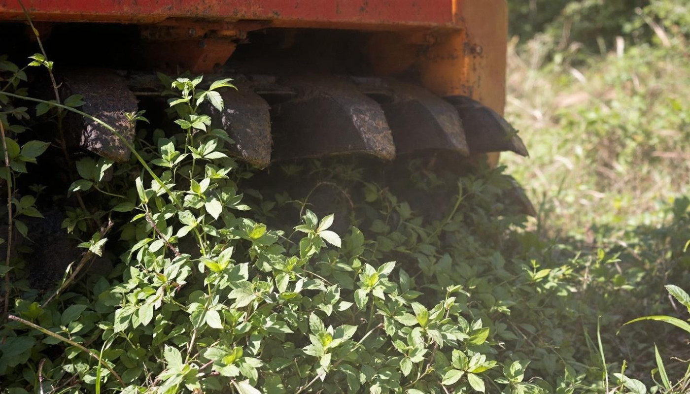Comment les broyeurs robustes transforment-ils la gestion des végétations ?